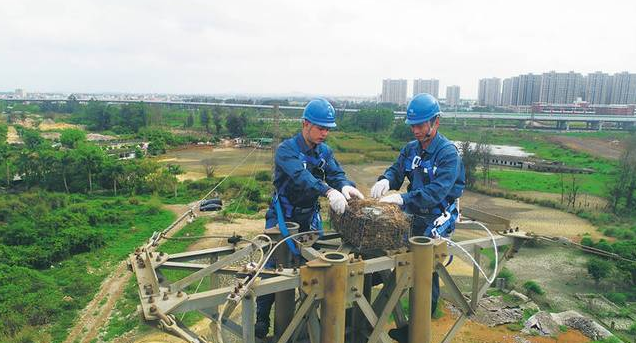 保護生態和諧共生，IKAR防墜器出一份力！